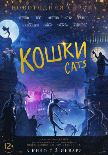 Кошки / Cats
